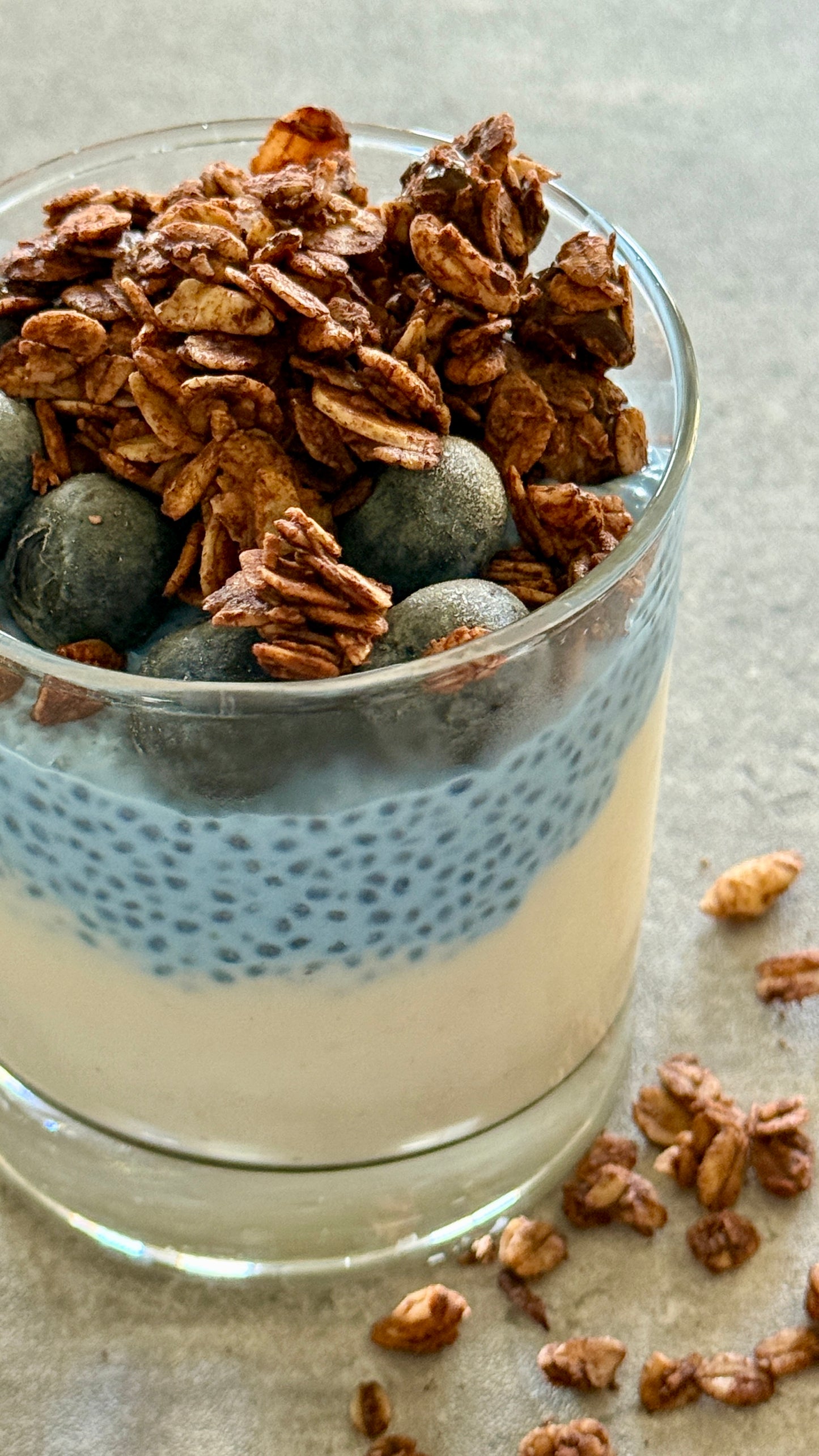 Chia & Yogurt Pudding 8oz