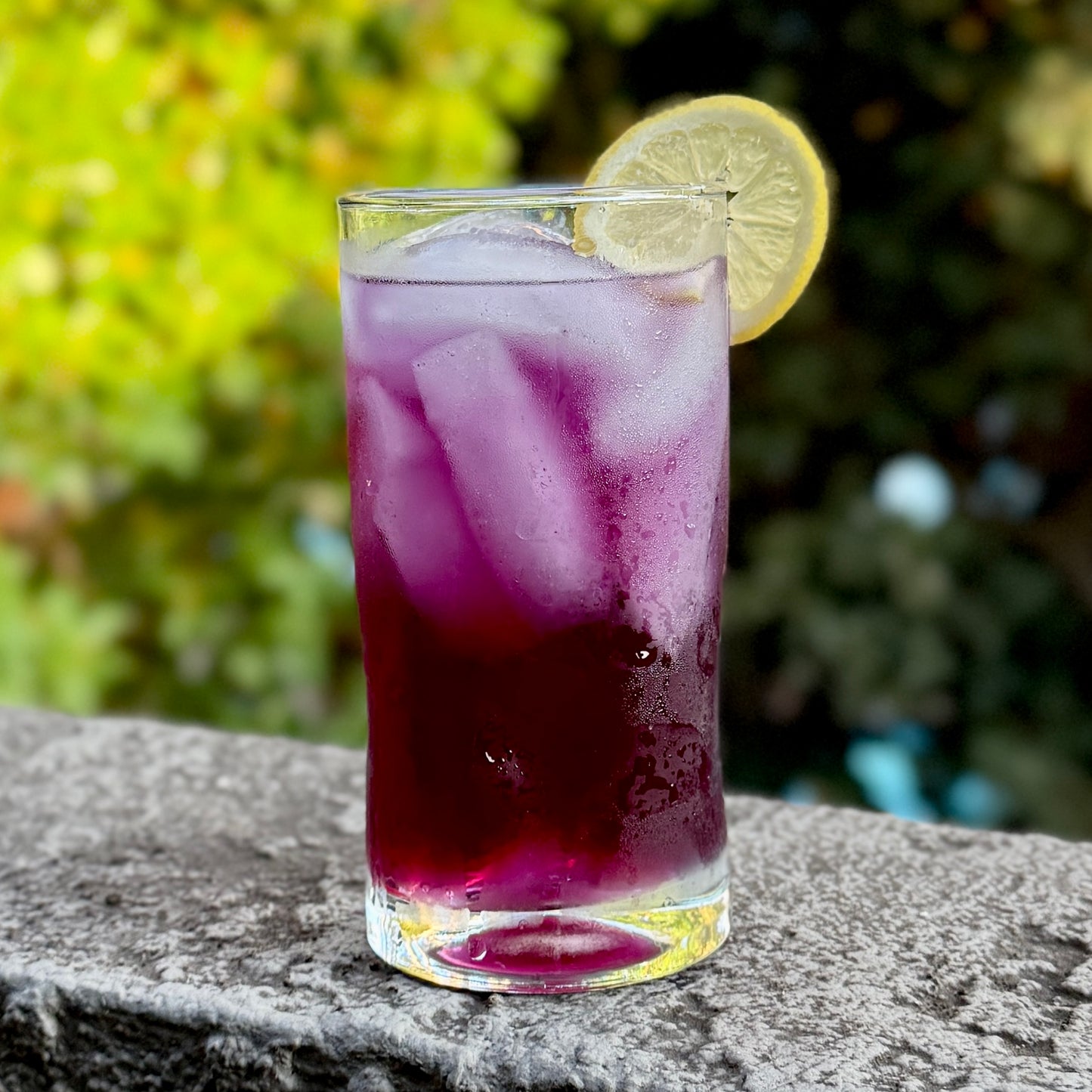 Antioxidant Boost (12 oz)